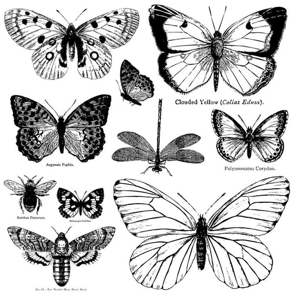 IOD Stamp 'Butterflies' Silikonstempel Schmetterling DEC-STA-BUT