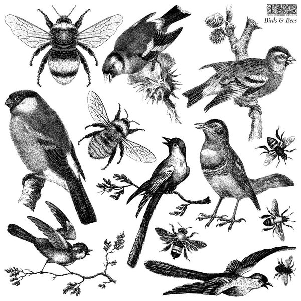 IOD Stamp 'BIRDS & BEES' Silikonstempel Vogel und Biene DEC-STA-BAB